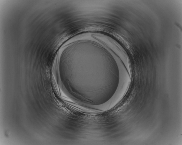 X0000097810945200804041333