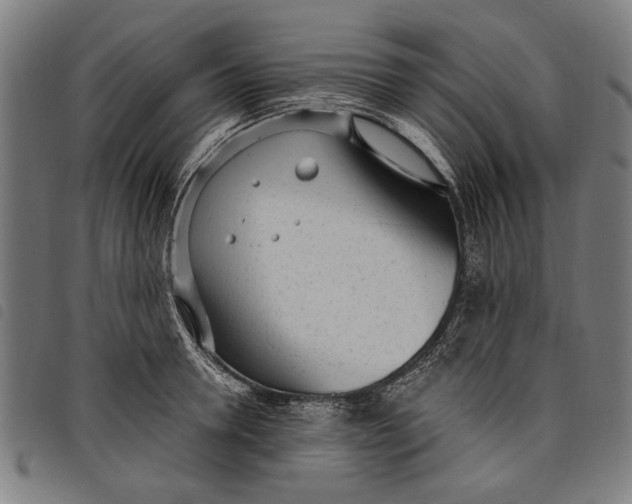 X0000097810946200804041333