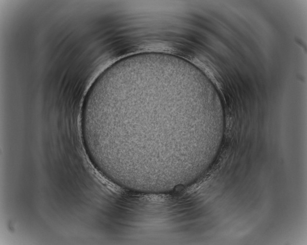 X0000097810947200804041333