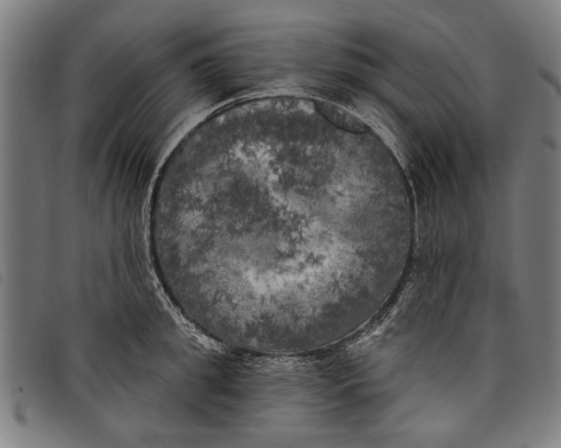 X0000097810949200804041333