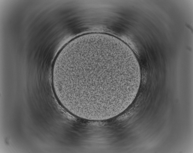 X0000097810950200804041333