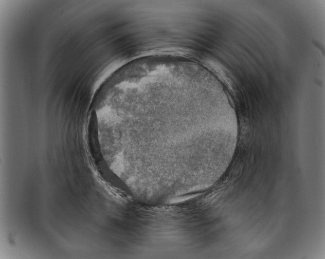 X0000097810952200804041333