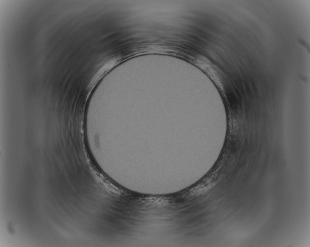 X0000097810954200804041333