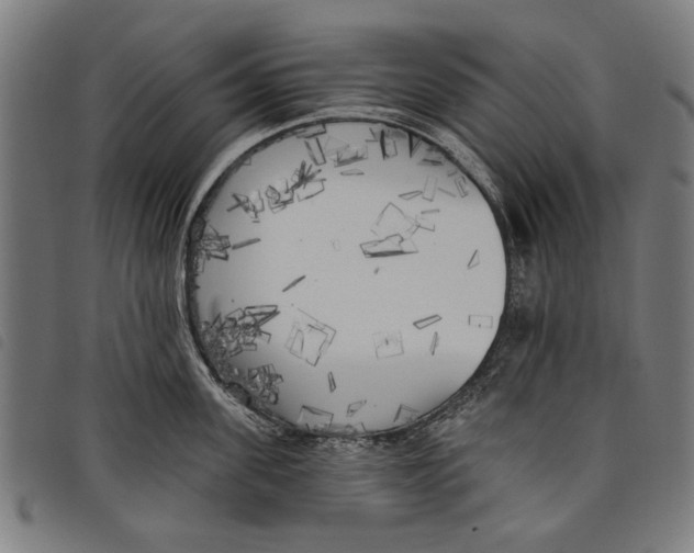 X0000097810955200804041333