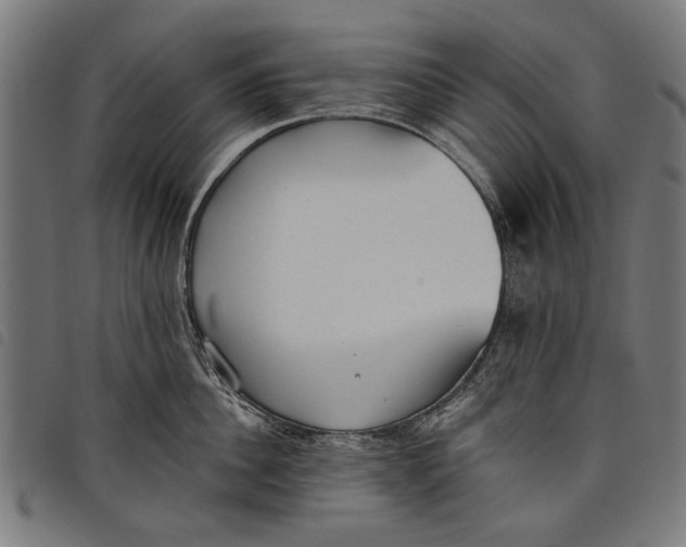 X0000097810956200804041333