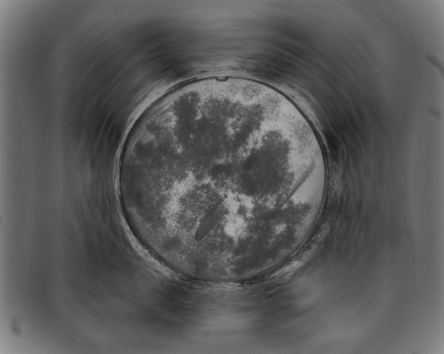 X0000097810957200804041333