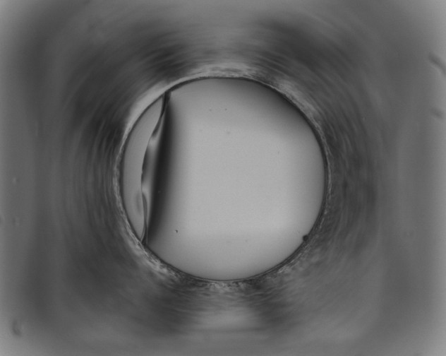 X0000097810960200804041333