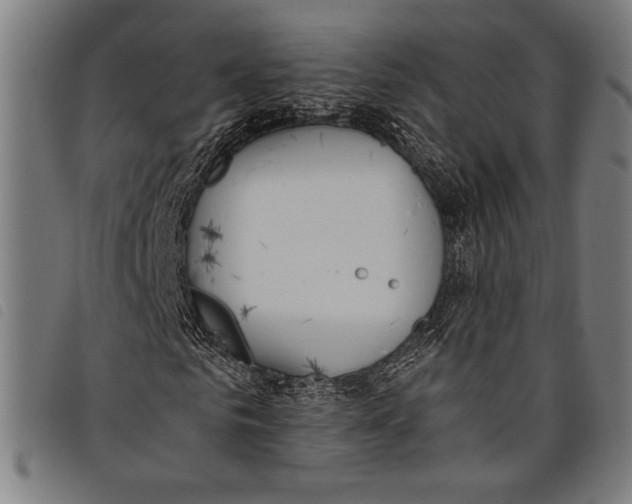 X0000097810961200804041333