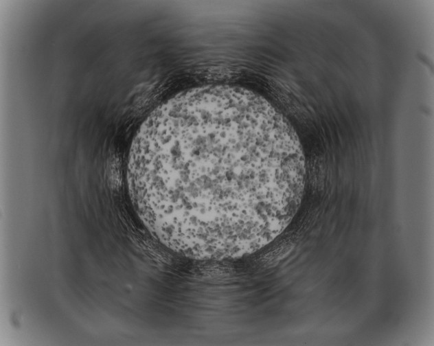 X0000097810962200804041333