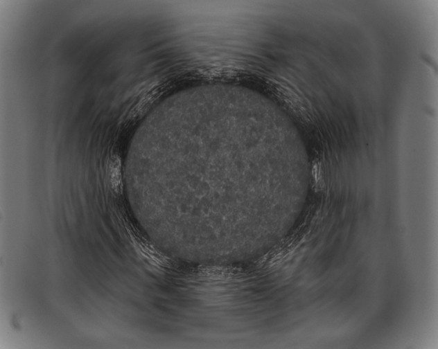 X0000097810963200804041333