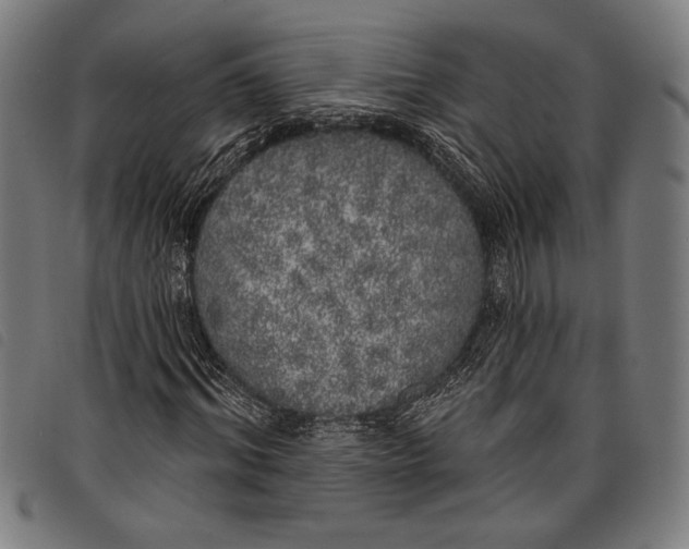 X0000097810964200804041333