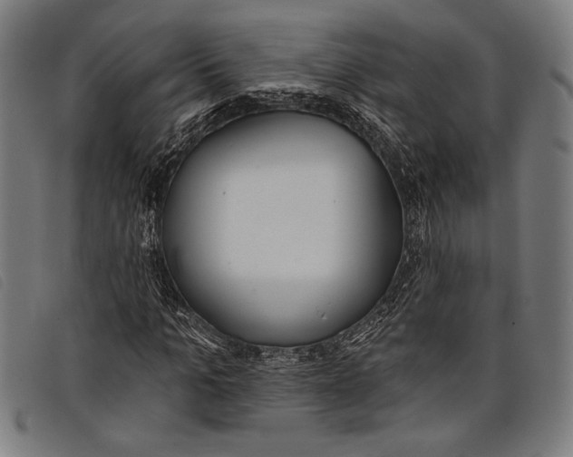 X0000097810965200804041333