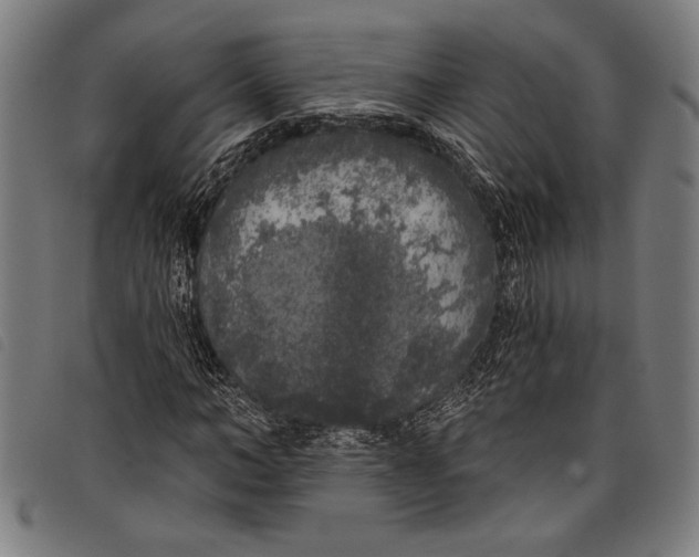 X0000097810966200804041333