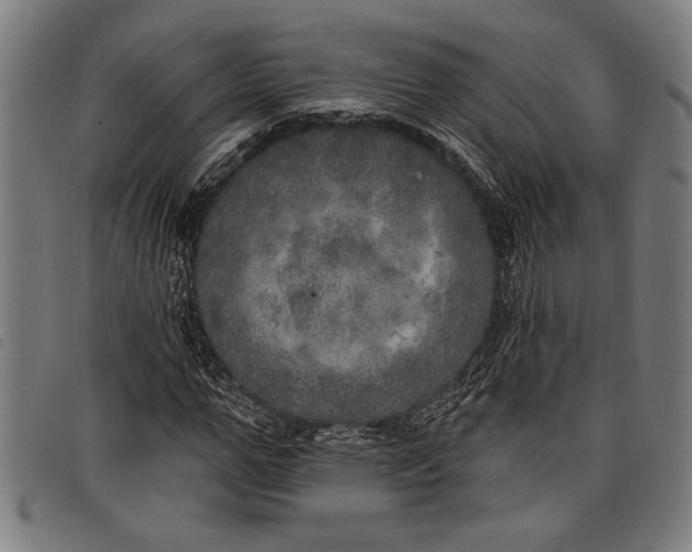 X0000097810967200804041333