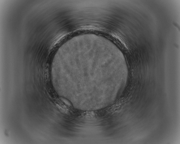 X0000097810968200804041333