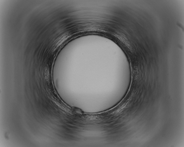 X0000097810969200804041333