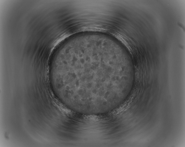 X0000097810971200804041333