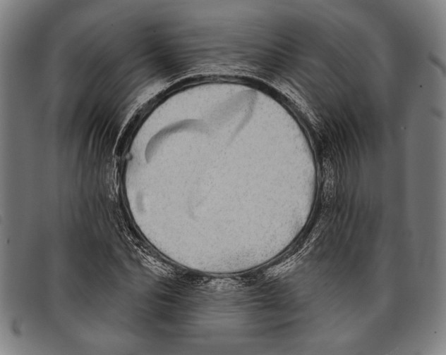 X0000097810974200804041333