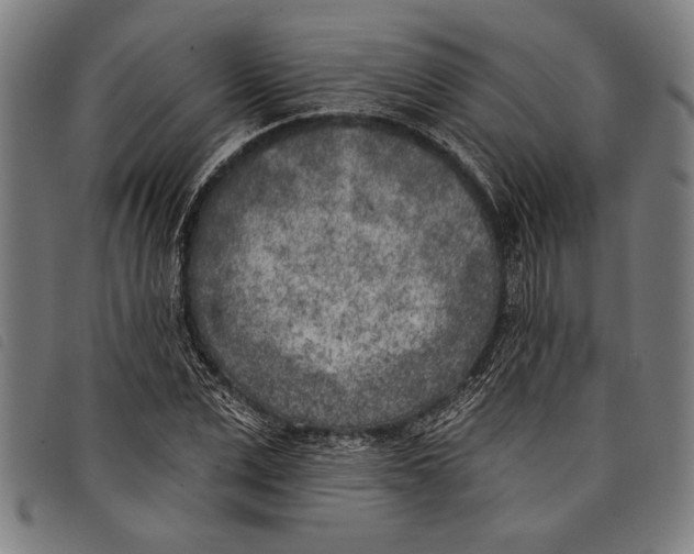 X0000097810975200804041333