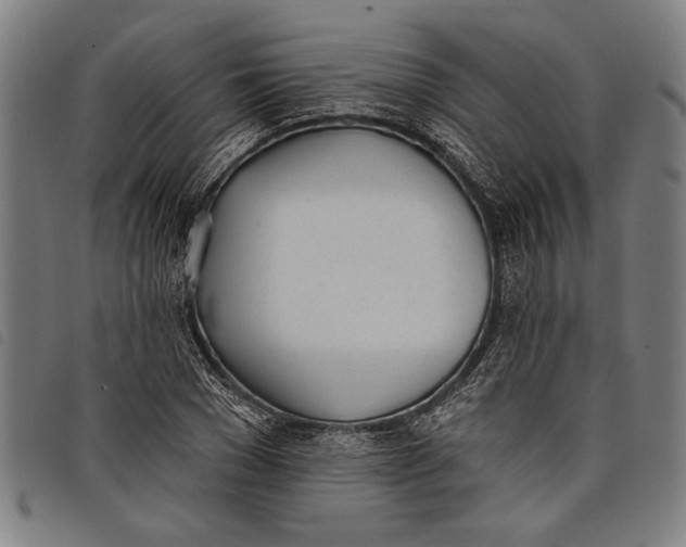 X0000097810977200804041333