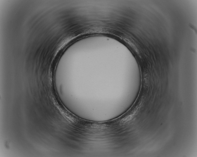 X0000097810981200804041333