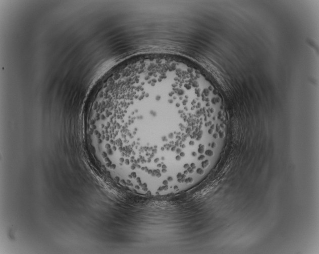 X0000097810982200804041333