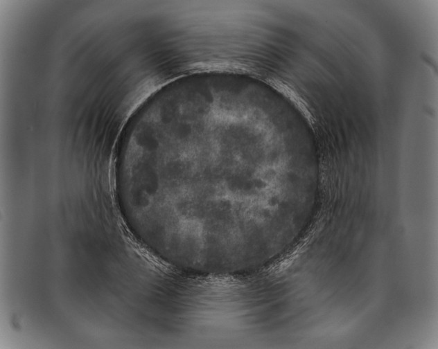 X0000097810983200804041333