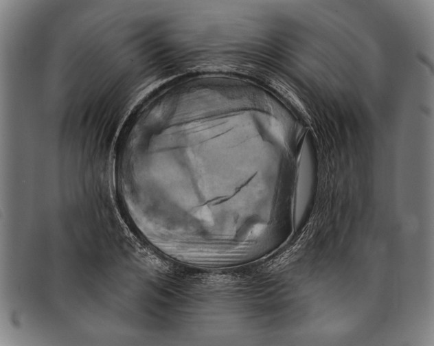 X0000097810984200804041333