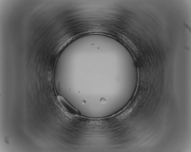 X0000097810985200804041332