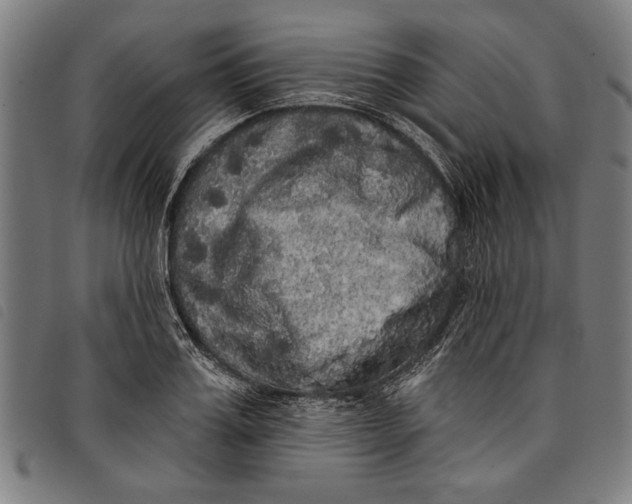 X0000097810987200804041332