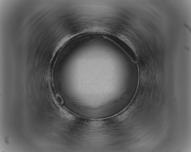 X0000097810989200804041332