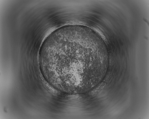 X0000097810990200804041332