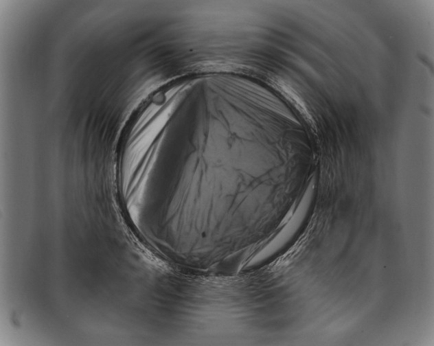 X0000097810992200804041332