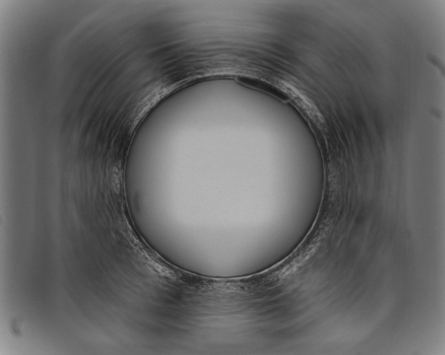 X0000097810993200804041332