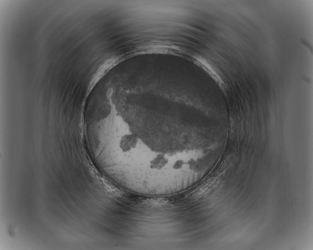 X0000097810994200804041332