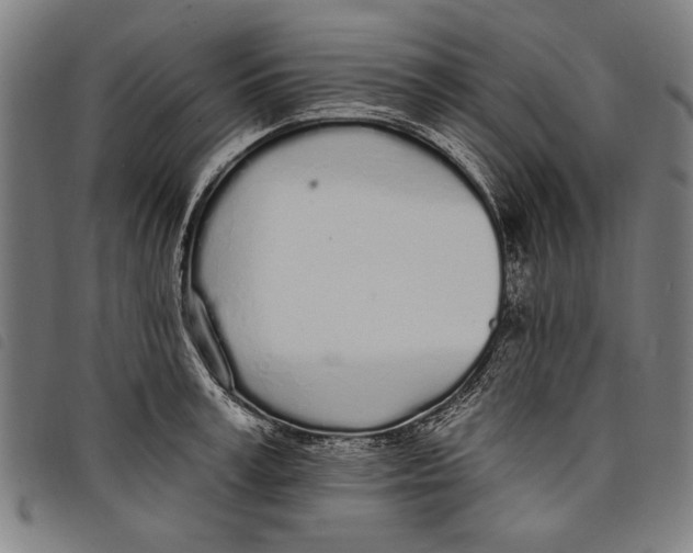 X0000097810995200804041332