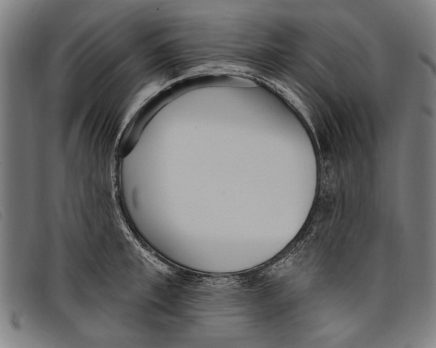 X0000097810997200804041332