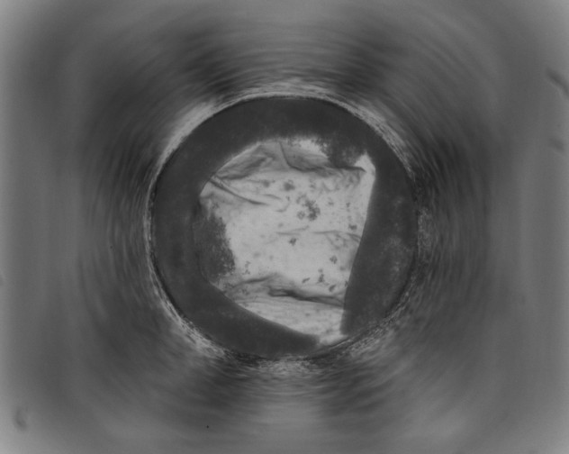 X0000097810998200804041332