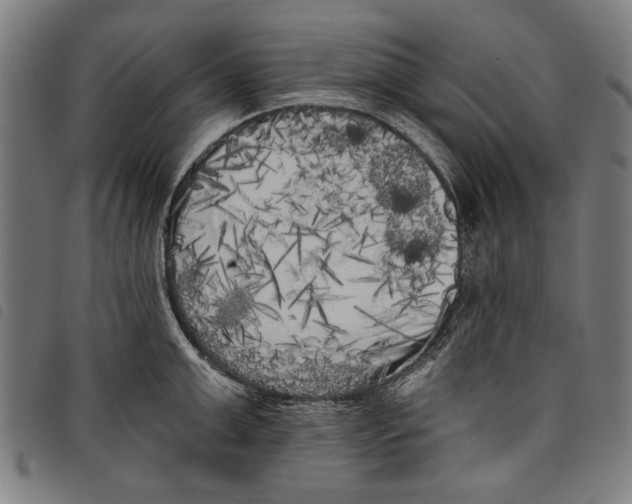 X0000097810999200804041332