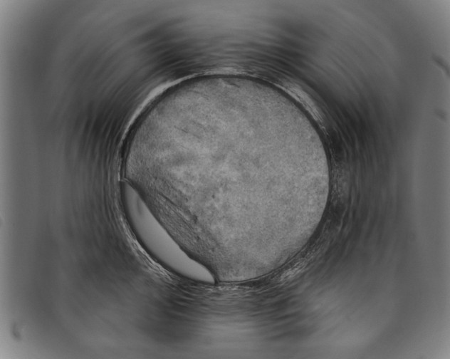 X0000097811000200804041332