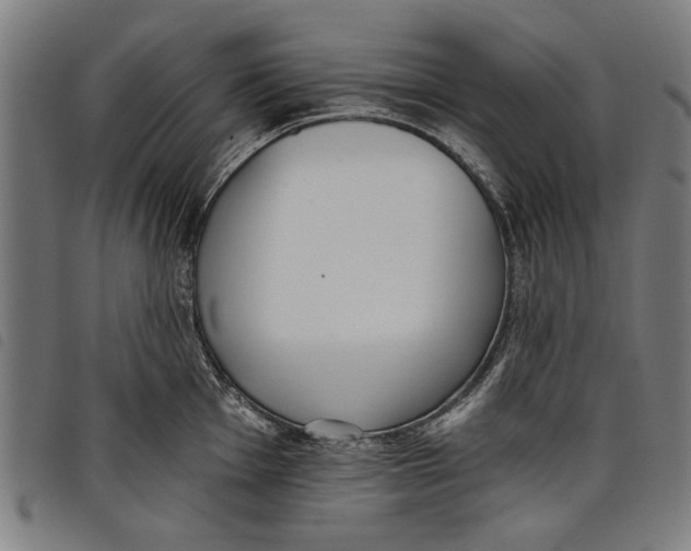 X0000097811001200804041332