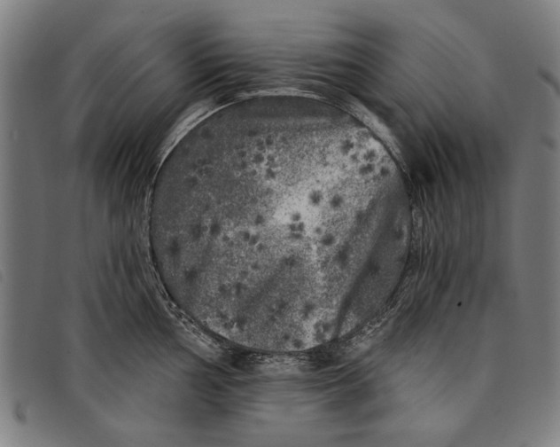 X0000097811002200804041332