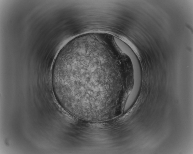 X0000097811004200804041332