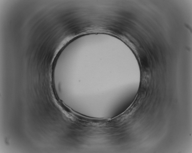 X0000097811005200804041332