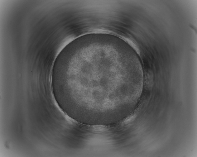 X0000097811007200804041332