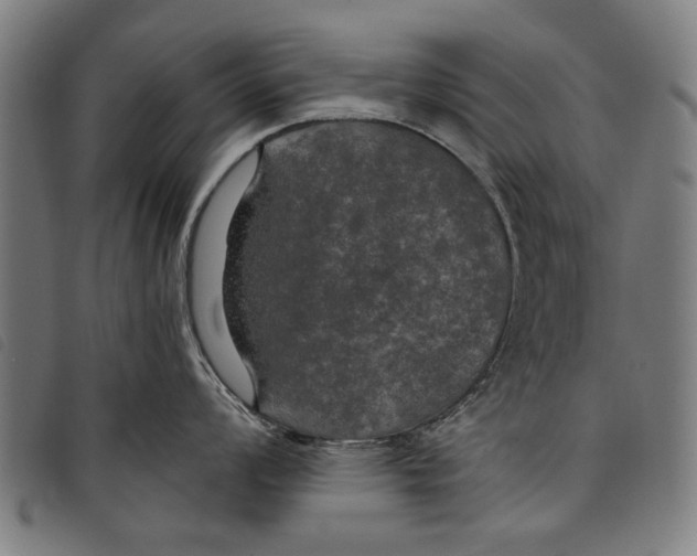 X0000097811008200804041332