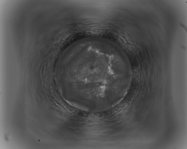 X0000097811009200804041331