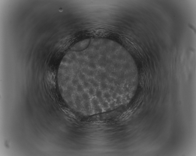 X0000097811010200804041331