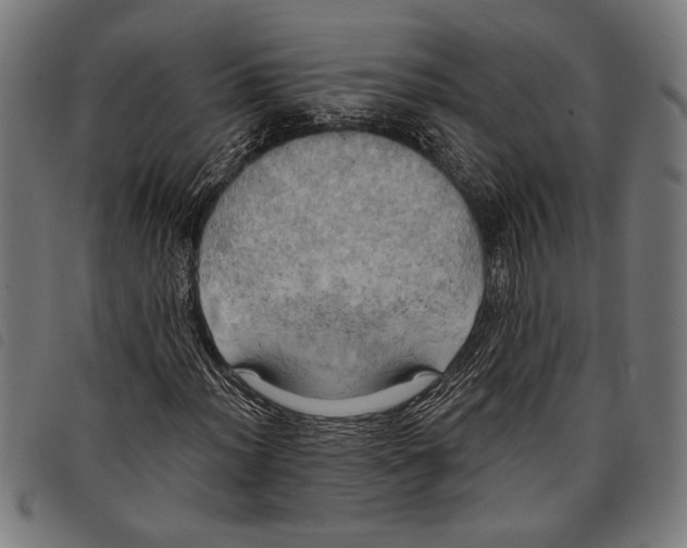 X0000097811012200804041331