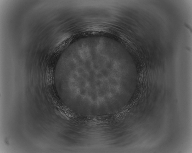 X0000097811014200804041331